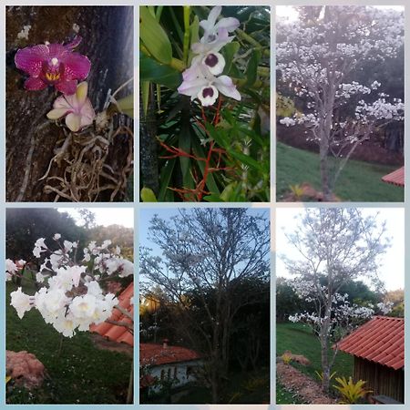 Pousada Rancho Flores คาเอเต้ ภายนอก รูปภาพ