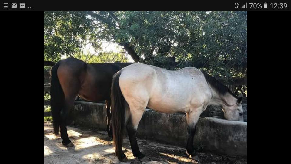 Pousada Rancho Flores คาเอเต้ ภายนอก รูปภาพ