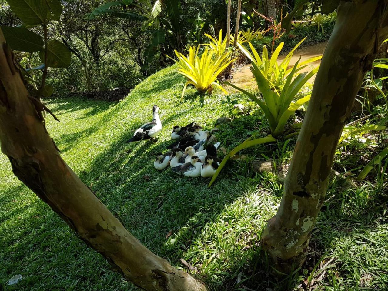 Pousada Rancho Flores คาเอเต้ ภายนอก รูปภาพ