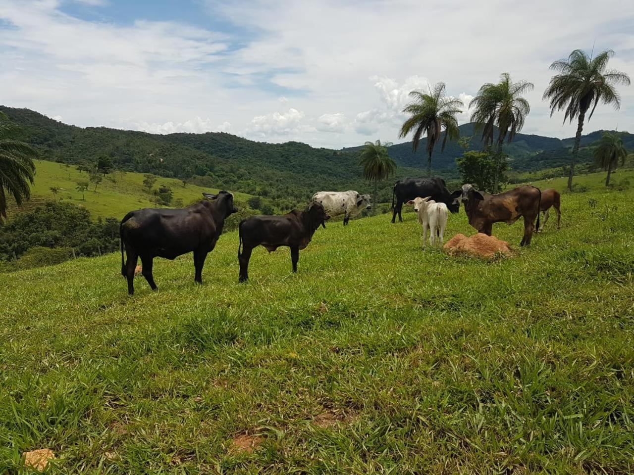 Pousada Rancho Flores คาเอเต้ ภายนอก รูปภาพ